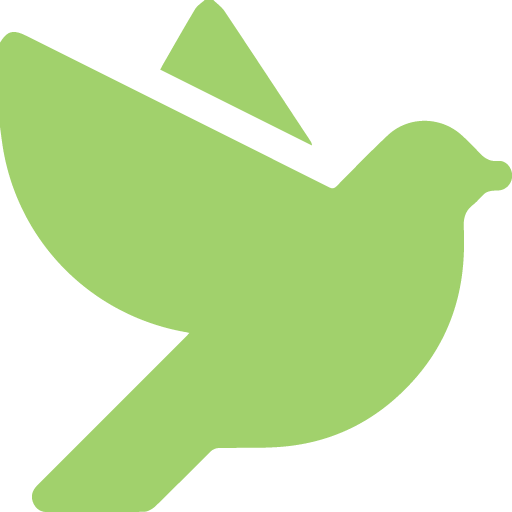 Plaga de palomas
