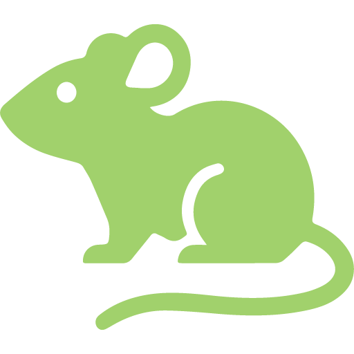 Plaga de ratas