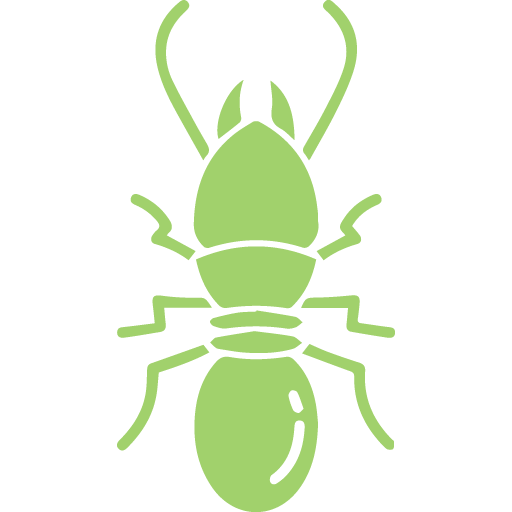 Plaga de termitas